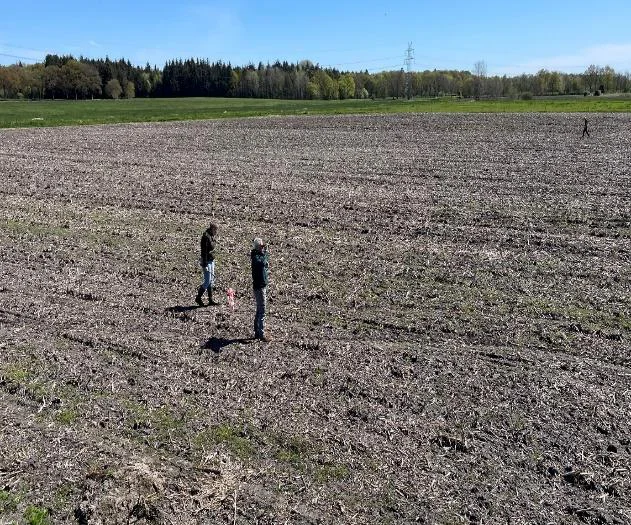 Feld