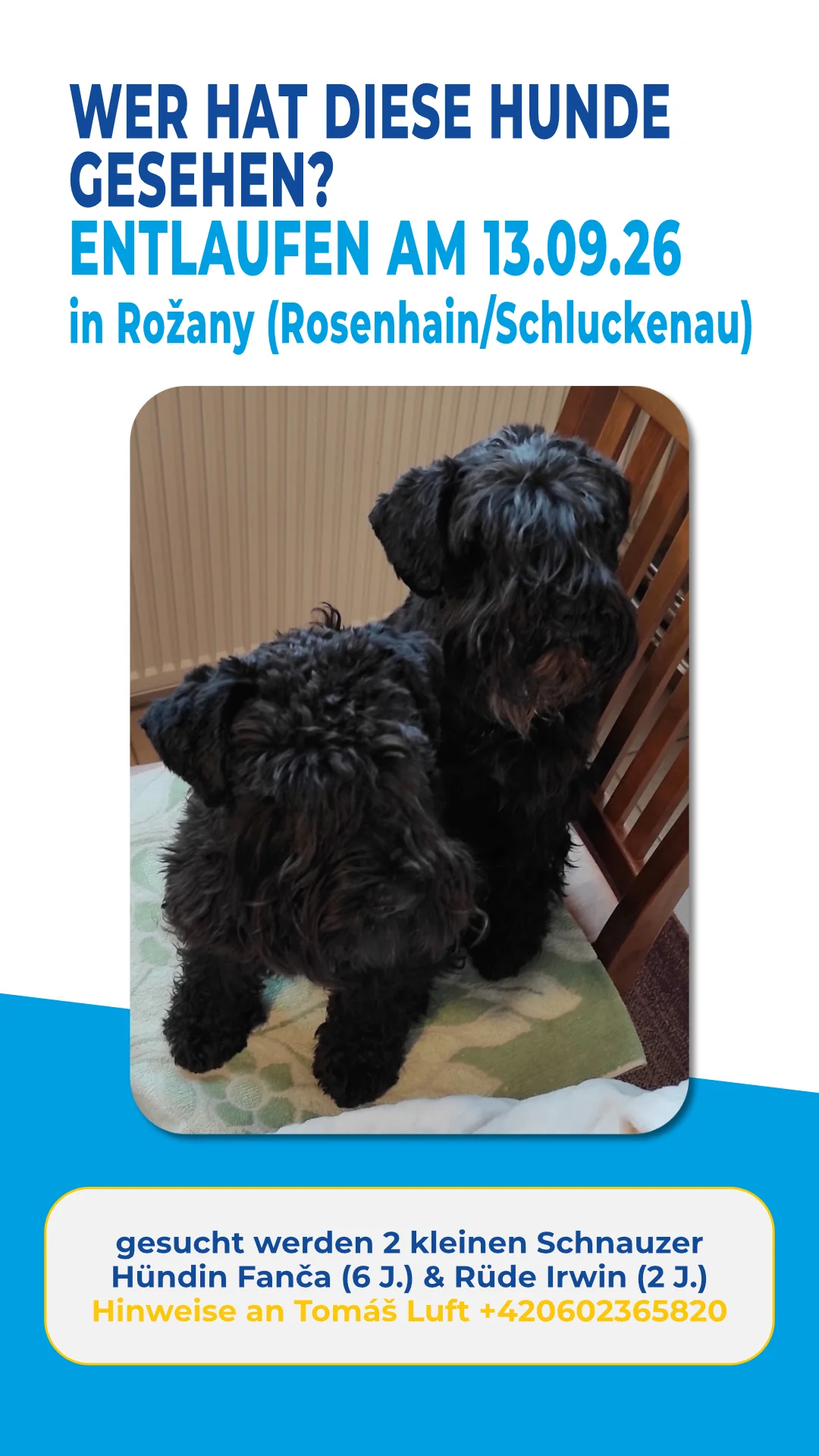 Story_17.09.2026_Hund