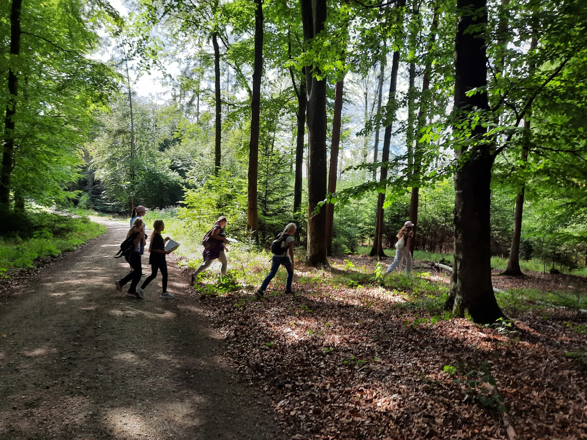 Blaschke Wald- Wiesenwanderung1