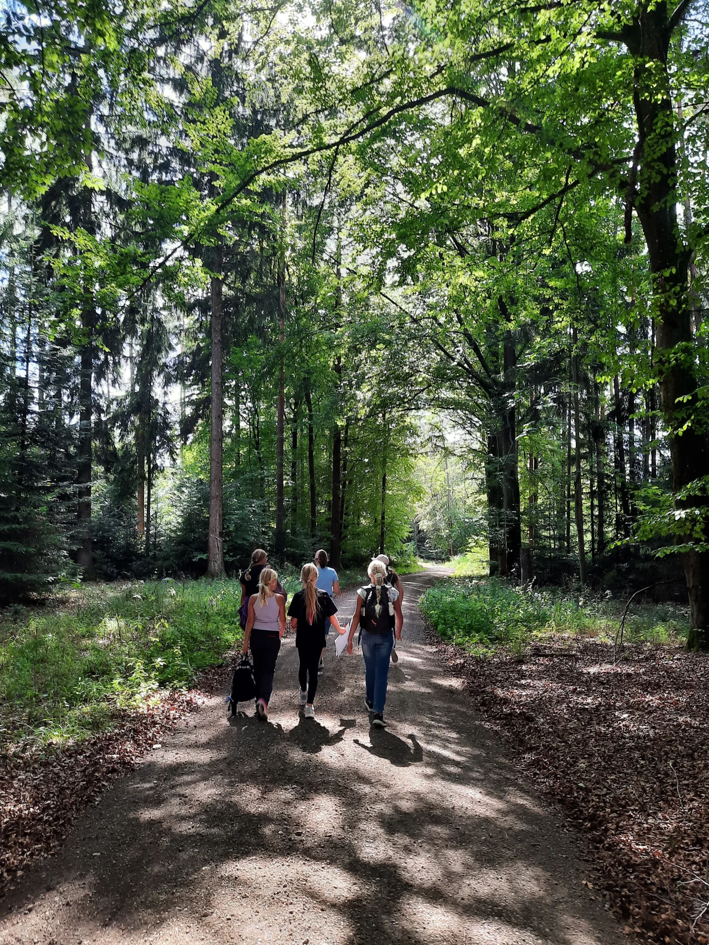 Blaschke Wald- Wiesenwanderung2
