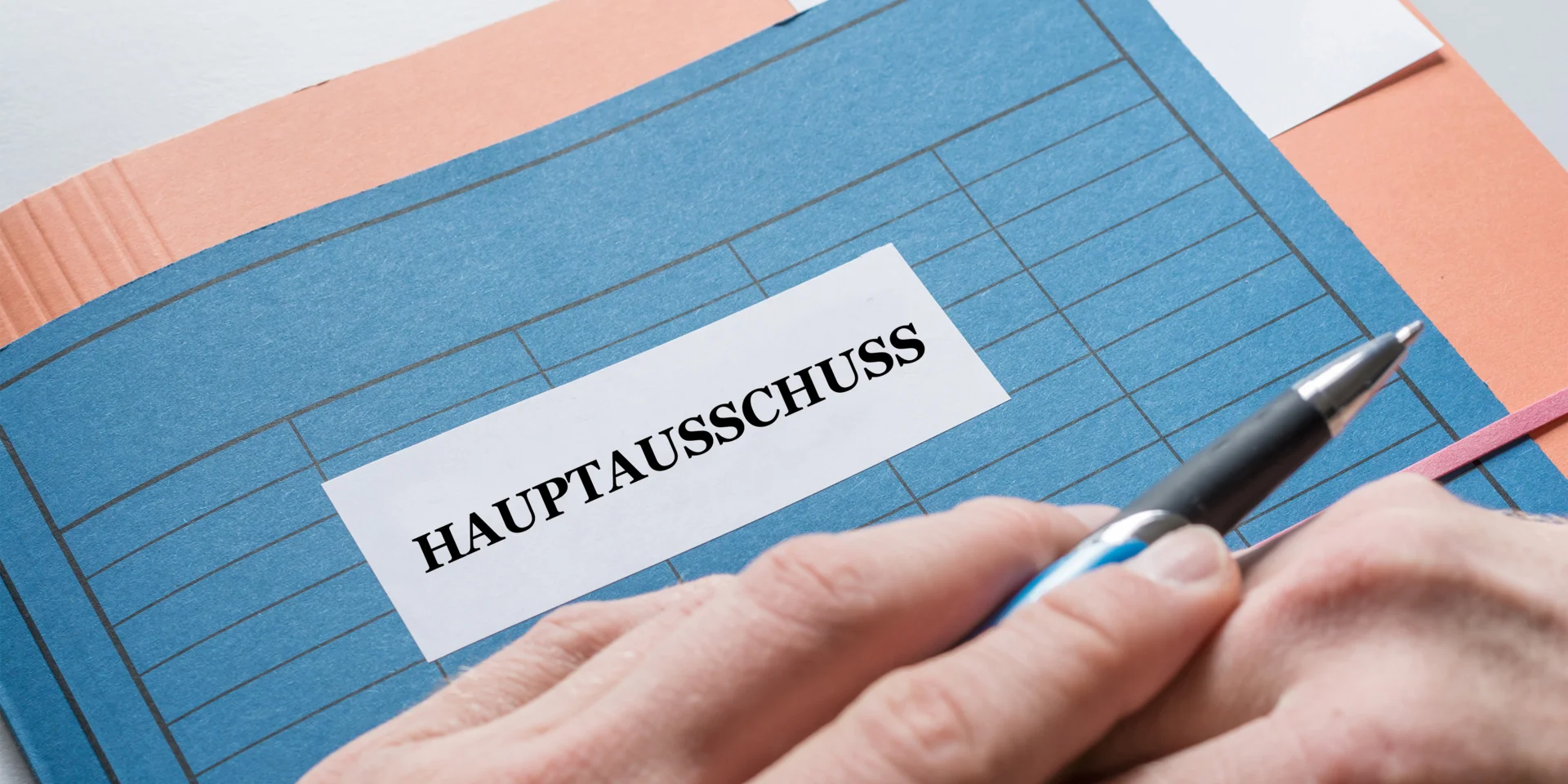 Hauptausschuss