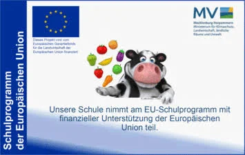 EU Schulprogramm
