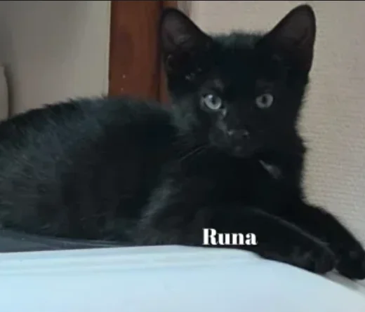 runa