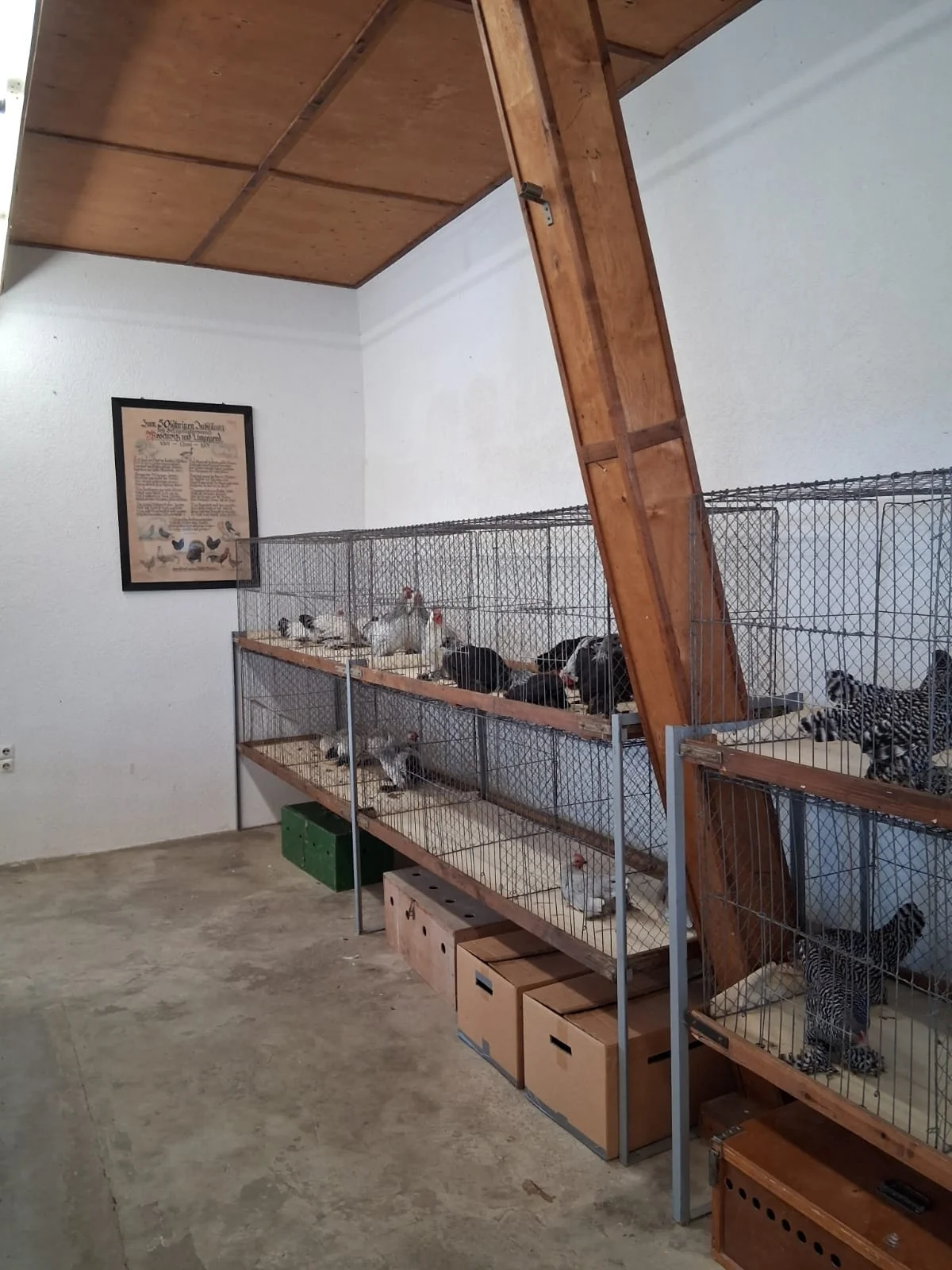 Tiere 1