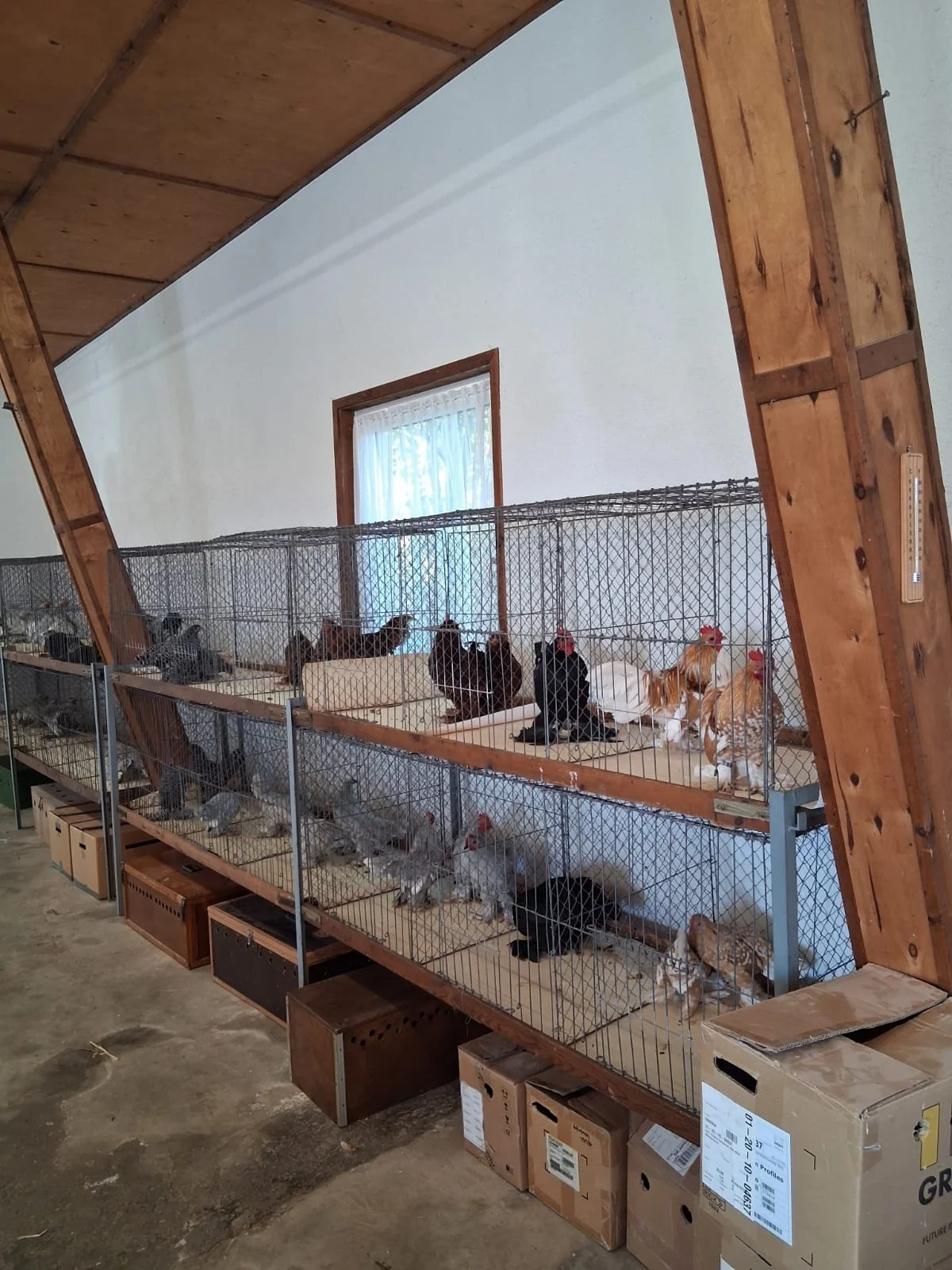 Tiere 3