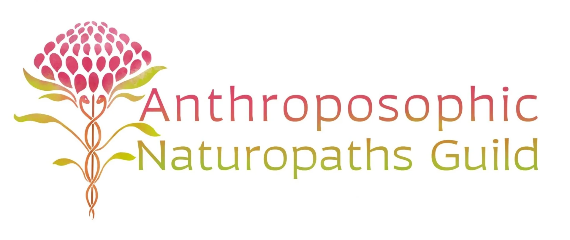 ANG Logo