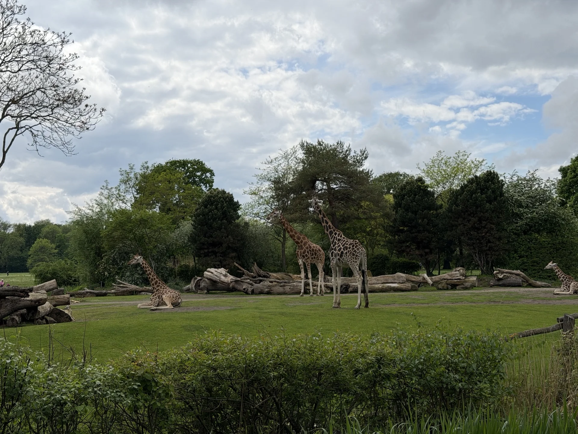 image4