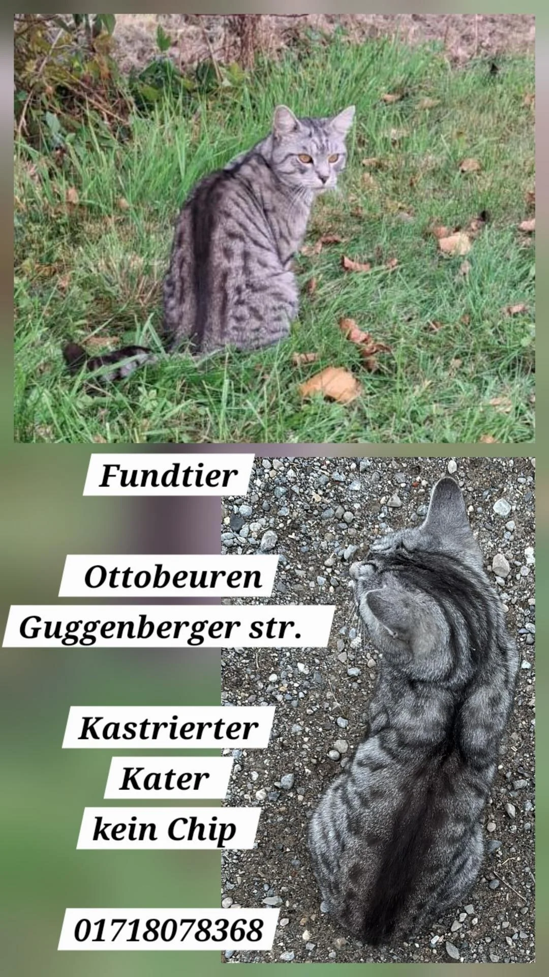 Fundkater