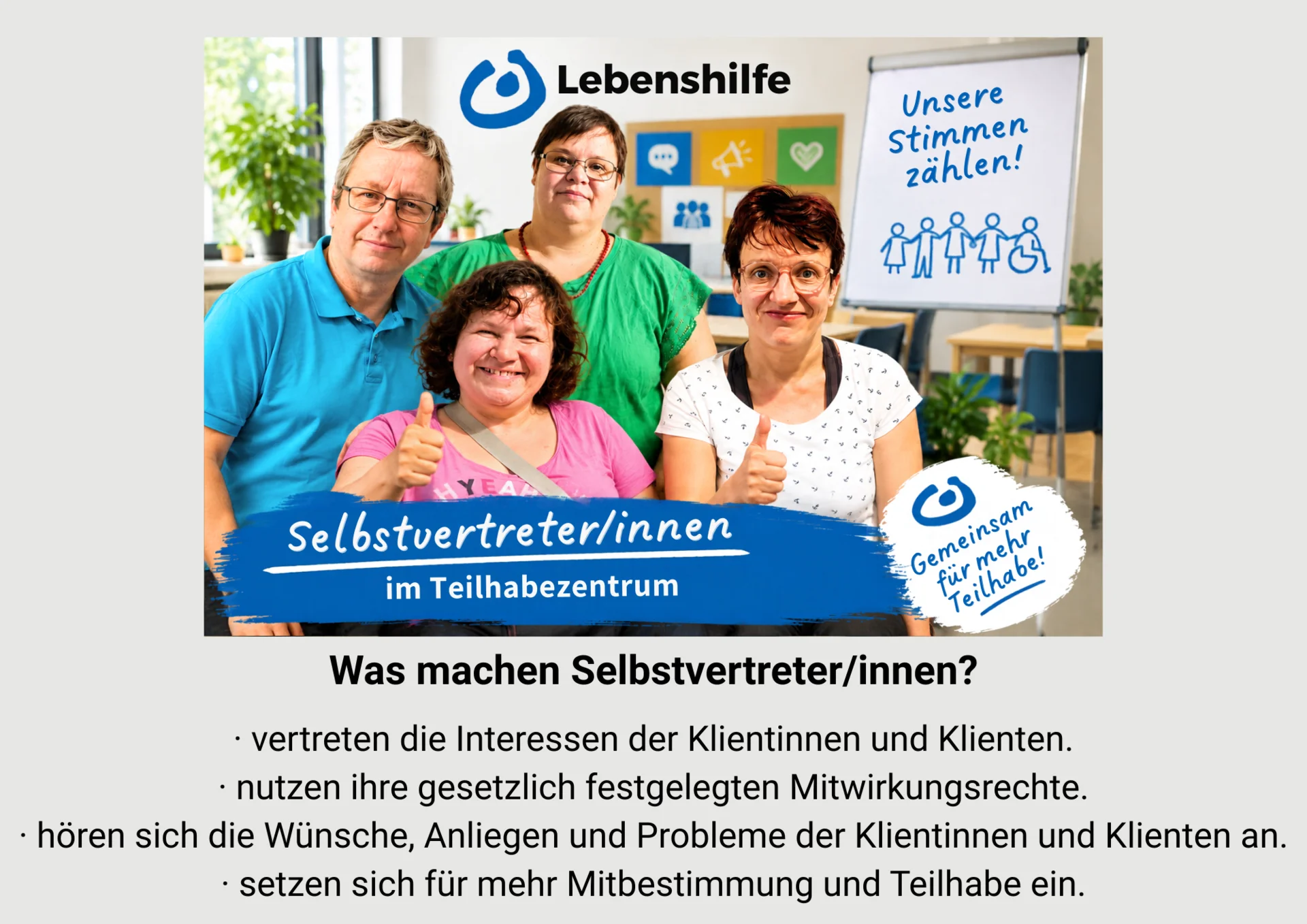 Selbstvertreter*innen