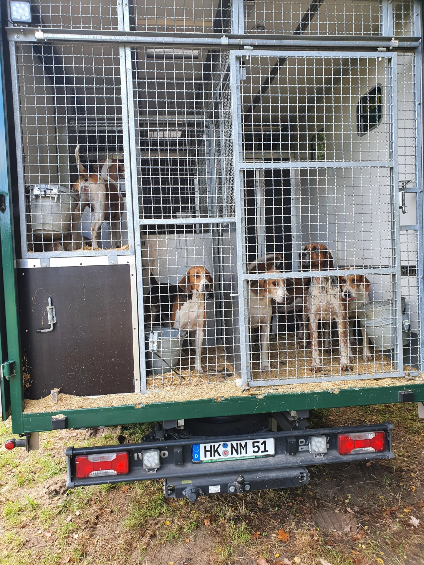 Die Foxhounds