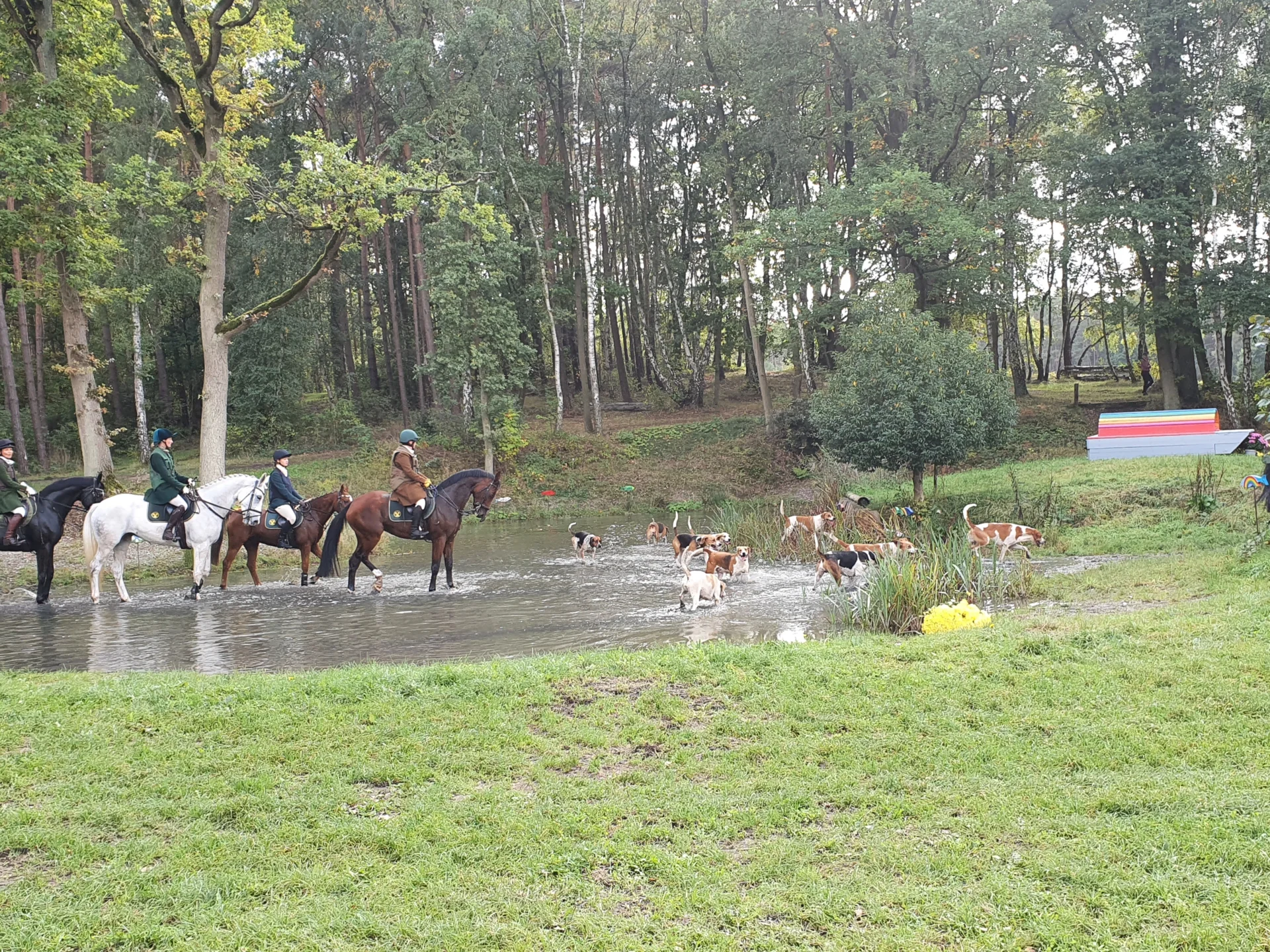 Meute im Wasser 2