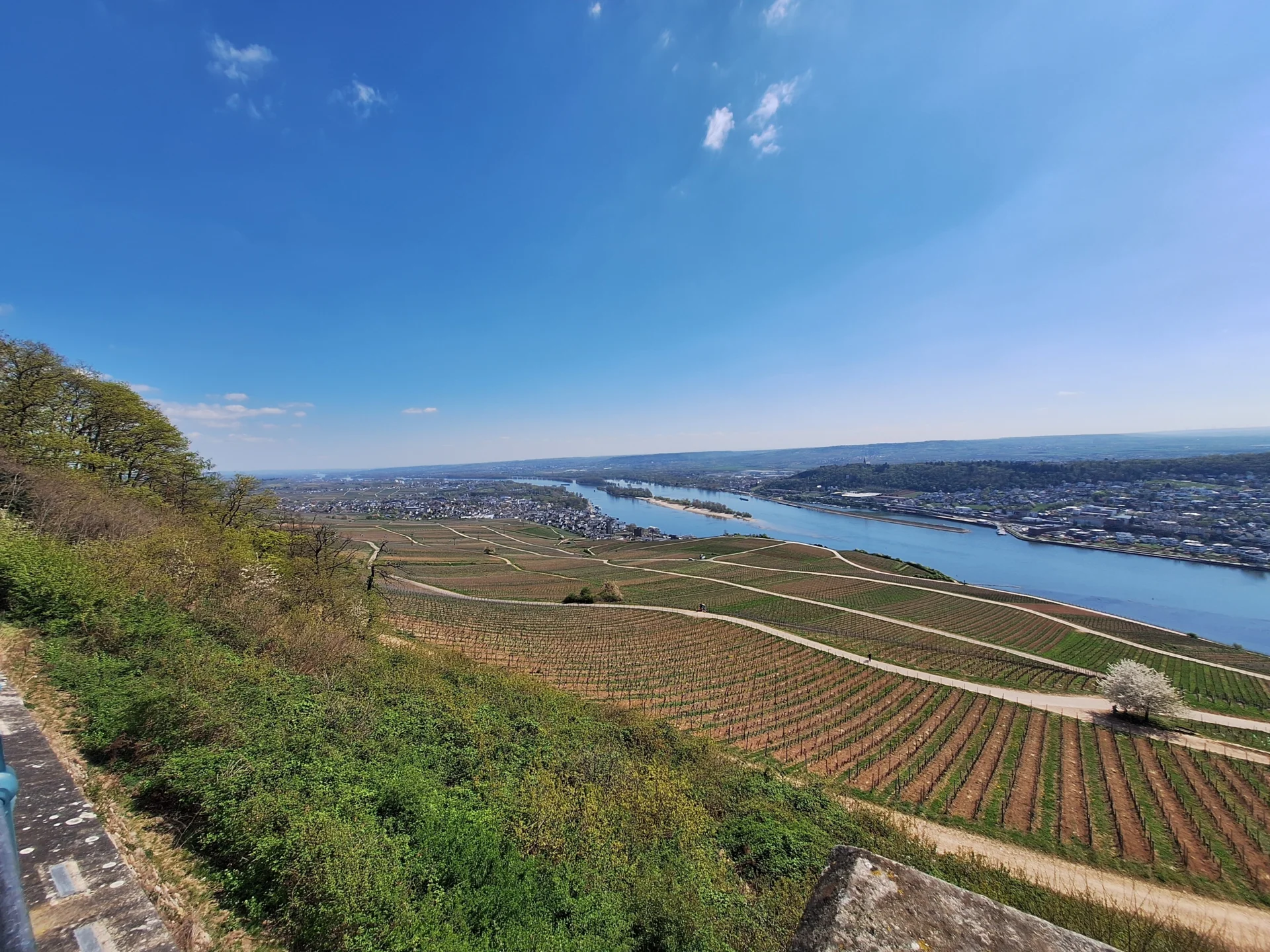 Blick vom Niederwalddenkmal auf Rüdesheimer Berg