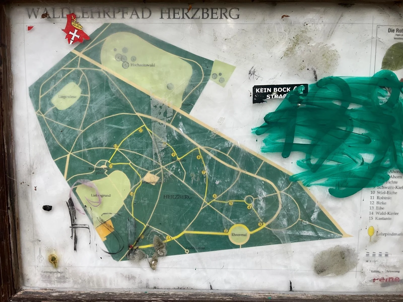 Waldlehrpfad (Quelle: Menzel)