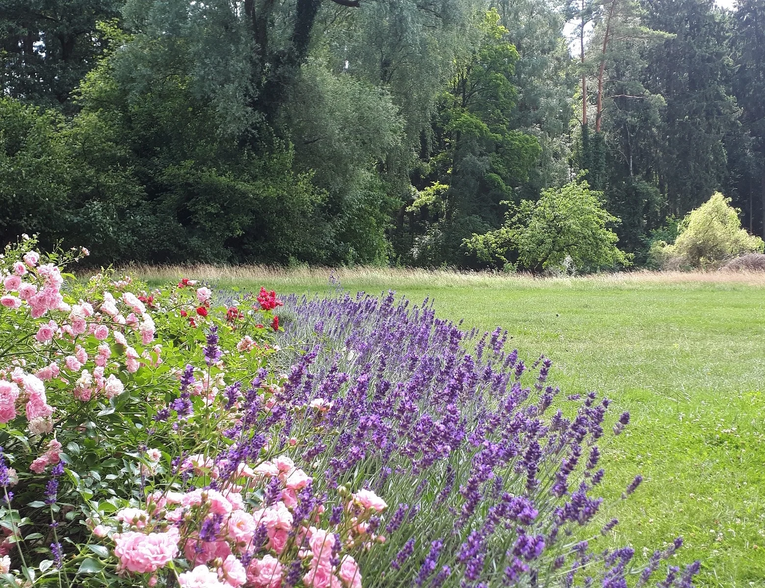 Garten der Stille