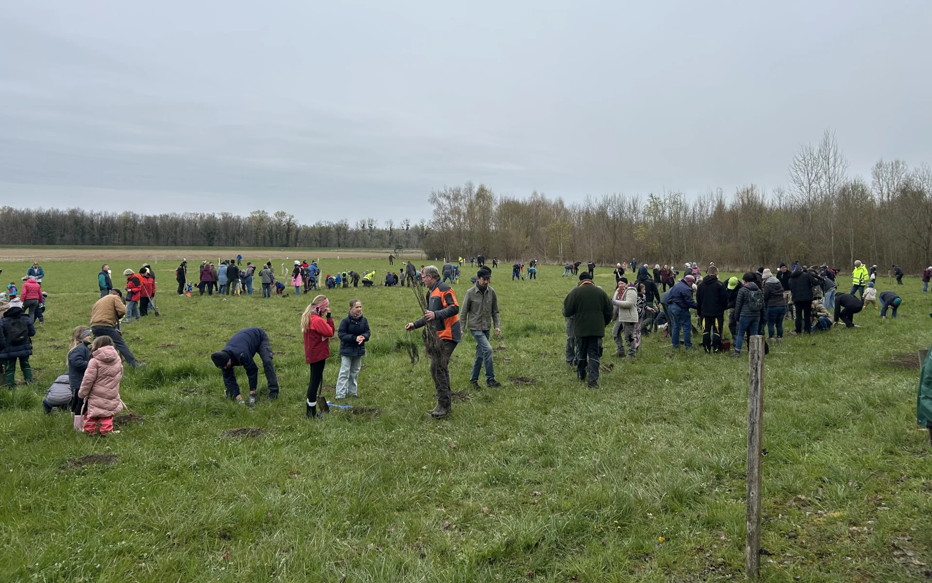 Baumpflanzaktion 28.03.2026