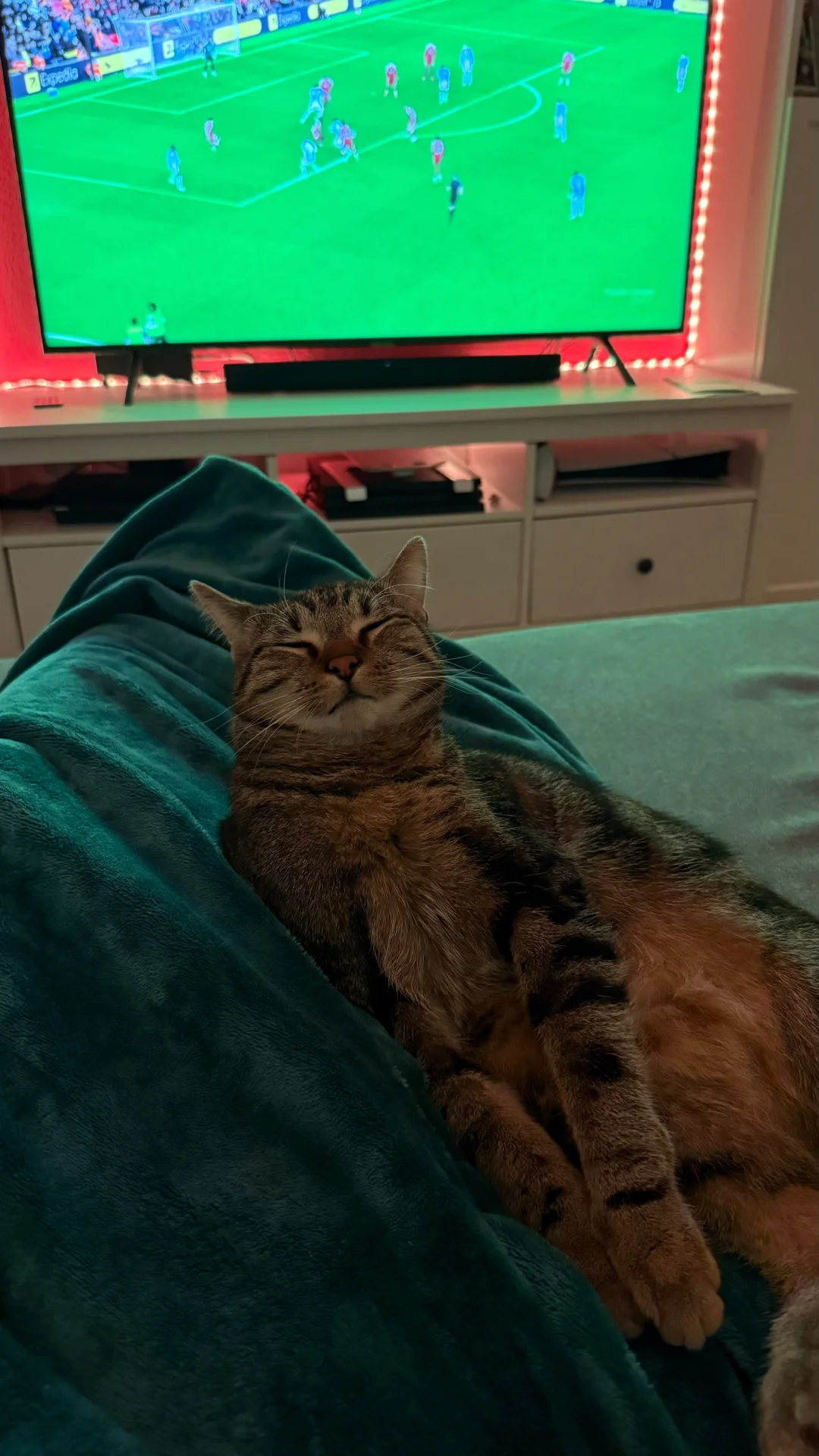 aboo