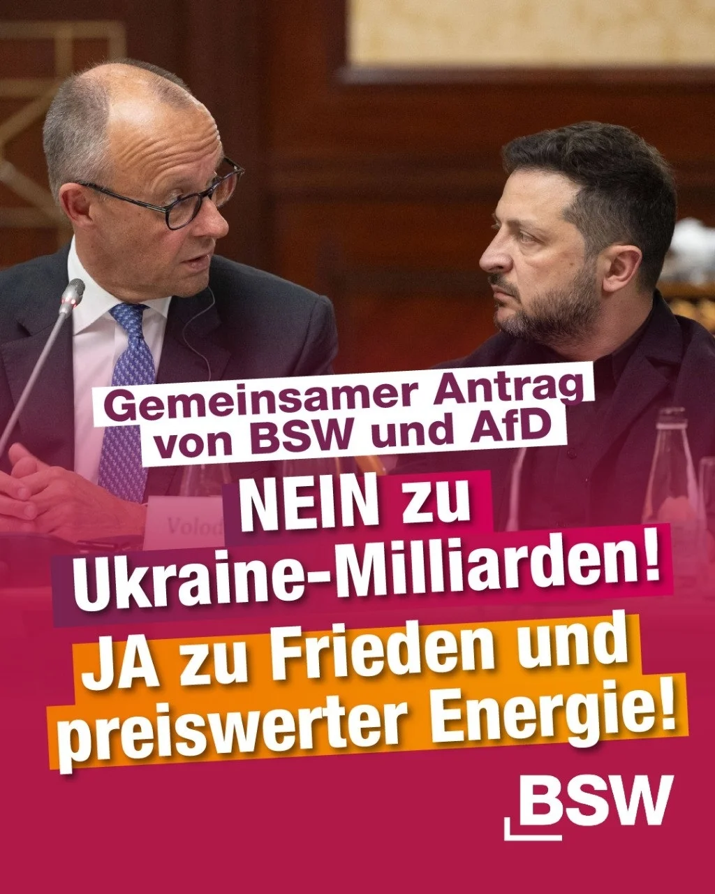 Gemeinsamer Antrag für Frieden von BSW und AfD