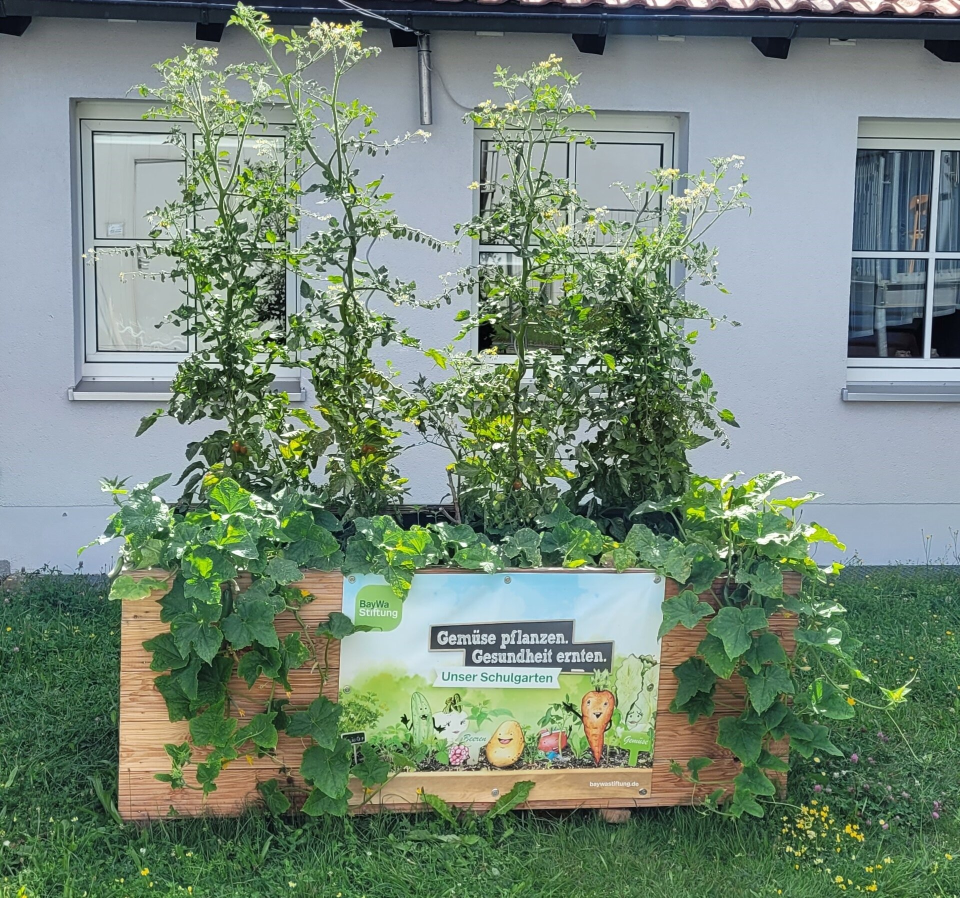 Umweltschule2023-2024