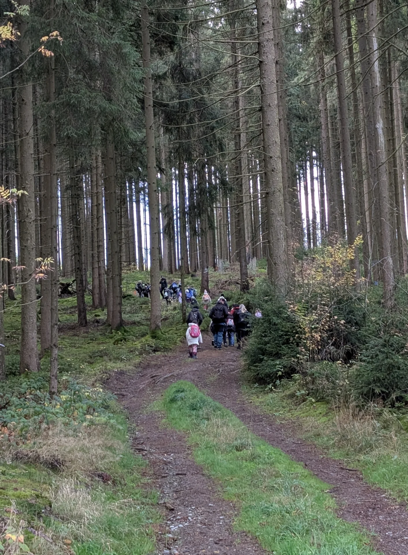 Über Stock und Stein ging es durch den Wald