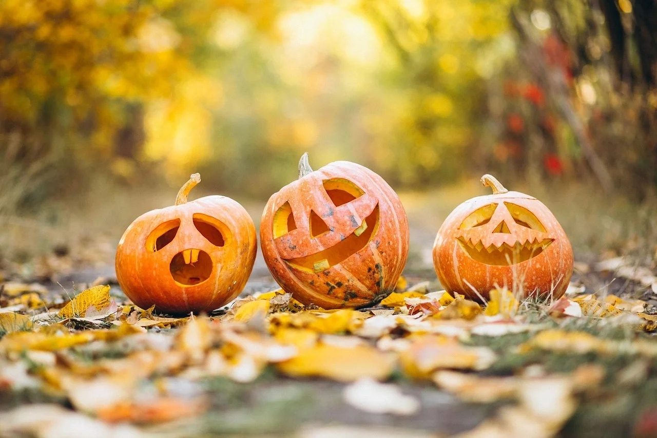 Herbstbild mit lustigen Kürbissen