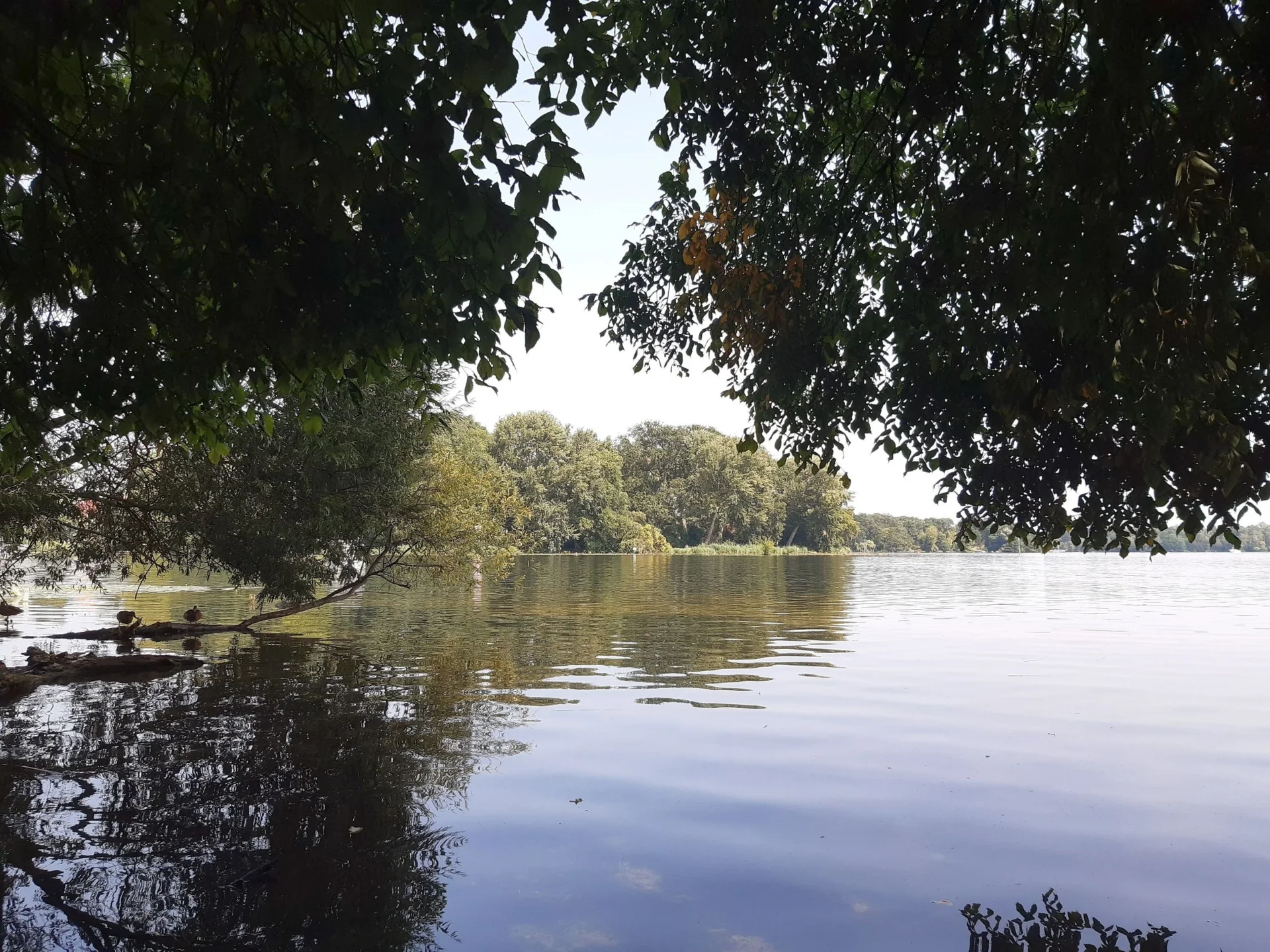 Tegeler See
