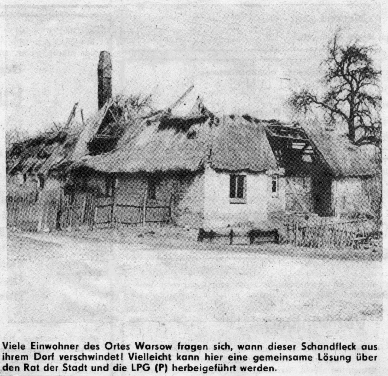 Freie Erde vom 28.4.1981 Bauernstelle Nr. 2 (Meta Grambow)