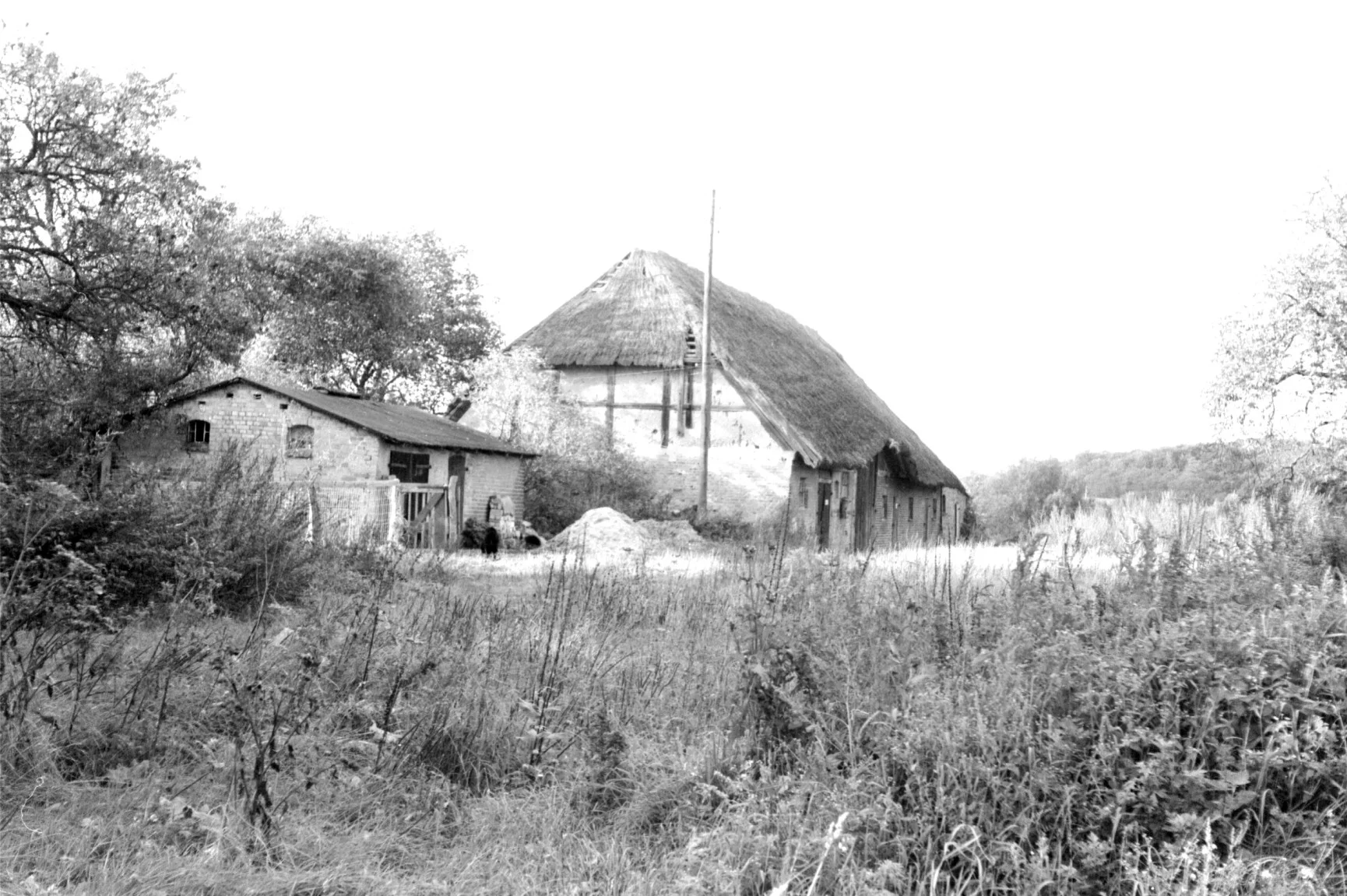 Pferde- und Rinderstall, Gehöft Nr. 3 (September 1978)