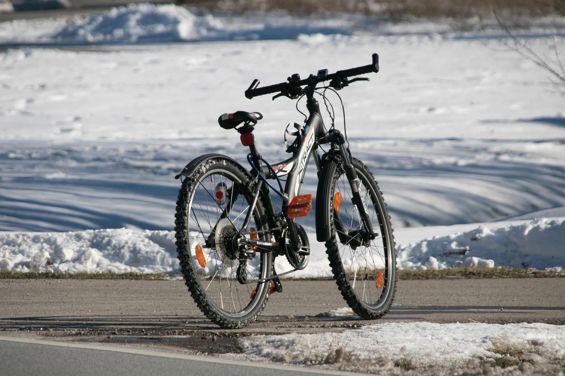 planet_fox-bike-6012991