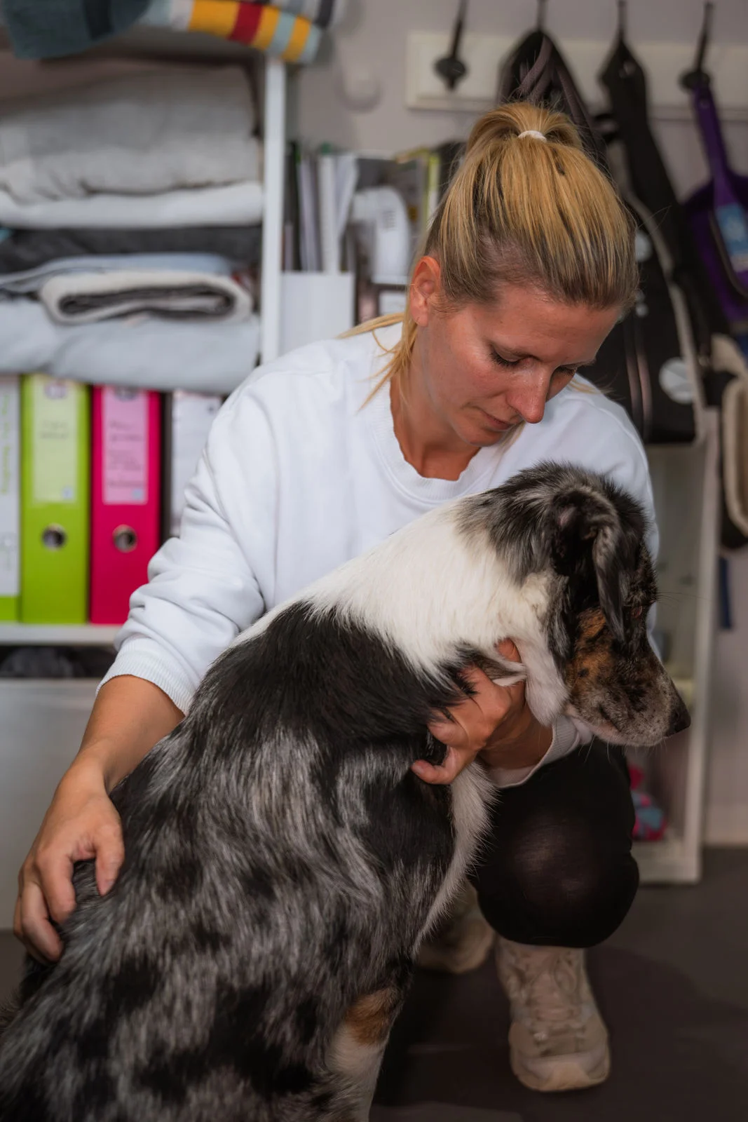 Untersuchung Hund