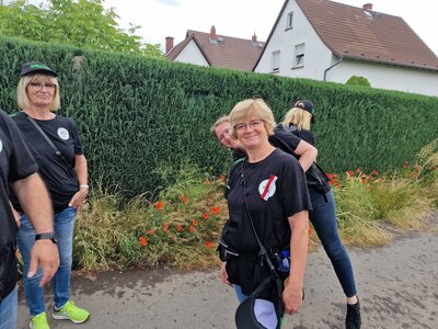 Foto des Albums: Das Jahr 2022