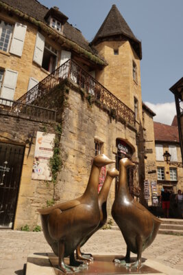Foto des Albums: 2023 - Reise Périgord