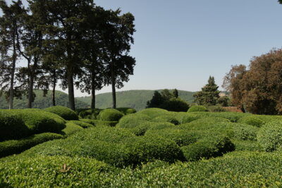 Foto des Albums: 2023 - Reise Périgord