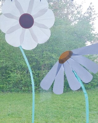 Foto des Albums: Sommerkunst