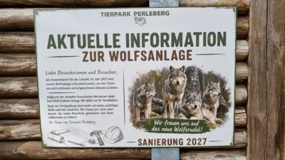 Foto des Albums: Wolfsgehege