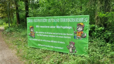 Das Wolfsgehege wird renoviert. Der letzte Wolf wurde in ein separates Gehege umgesetzt. Mai 2026  (Bild vergr&ouml;&szlig;ern)