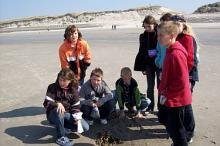 Foto des Albums: Wangerooge 2009 (20. 04. 2009)