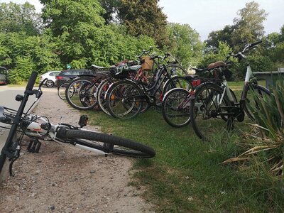 Foto des Albums: Grillnachmittag mit Stadtverordneten für Brücker Kinder und Jugendliche