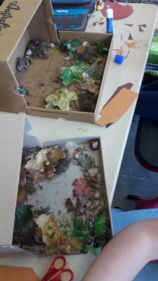 Foto des Albums: Herbst im Schuhkarton