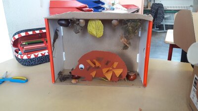 Foto des Albums: Herbst im Schuhkarton