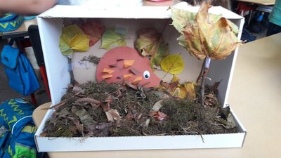 Foto des Albums: Herbst im Schuhkarton