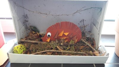 Foto des Albums: Herbst im Schuhkarton