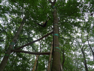Foto des Albums: Sommerferienaktion: Seilgarten Hannover