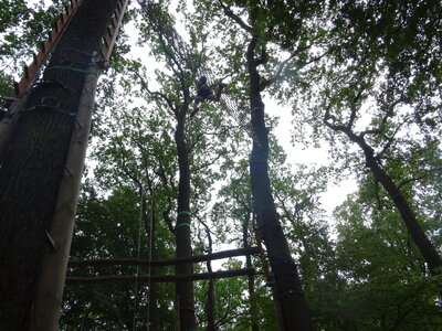 Foto des Albums: Sommerferienaktion: Seilgarten Hannover