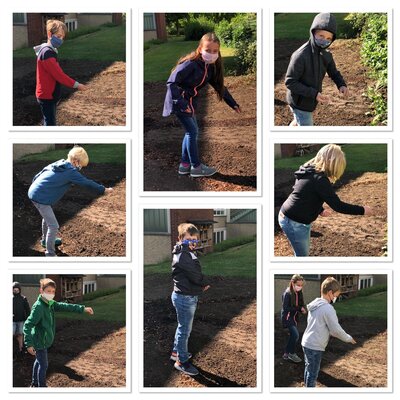 Foto des Albums: Blumenwiese