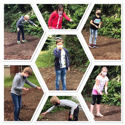 Foto des Albums: Blumenwiese