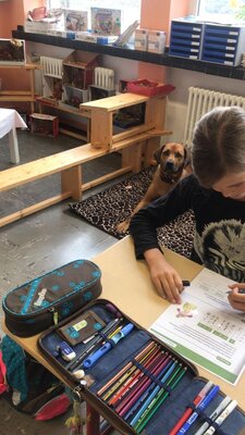 Foto des Albums: Förderstunden Freiarbeit