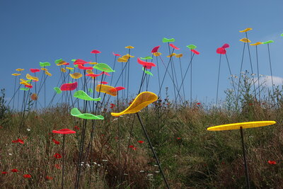 Foto des Albums: 2020 - Tagesausflug Landesgartenschau Kamp-Lintfort