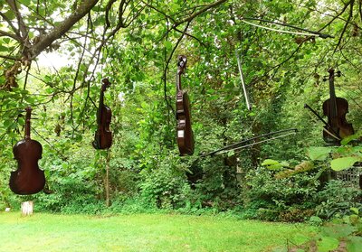 Foto des Albums: 2020 - Tagesausflug Bergisches Land