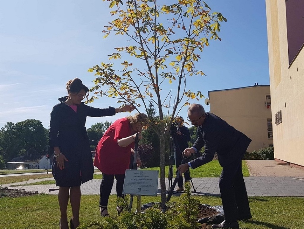 Bild: die Kastanienbaumpflanzung in der Partnerstadt Bobolice