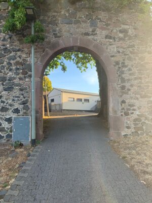 Foto des Albums: Lißberg, Burghalle und Außengelände der Burganlage